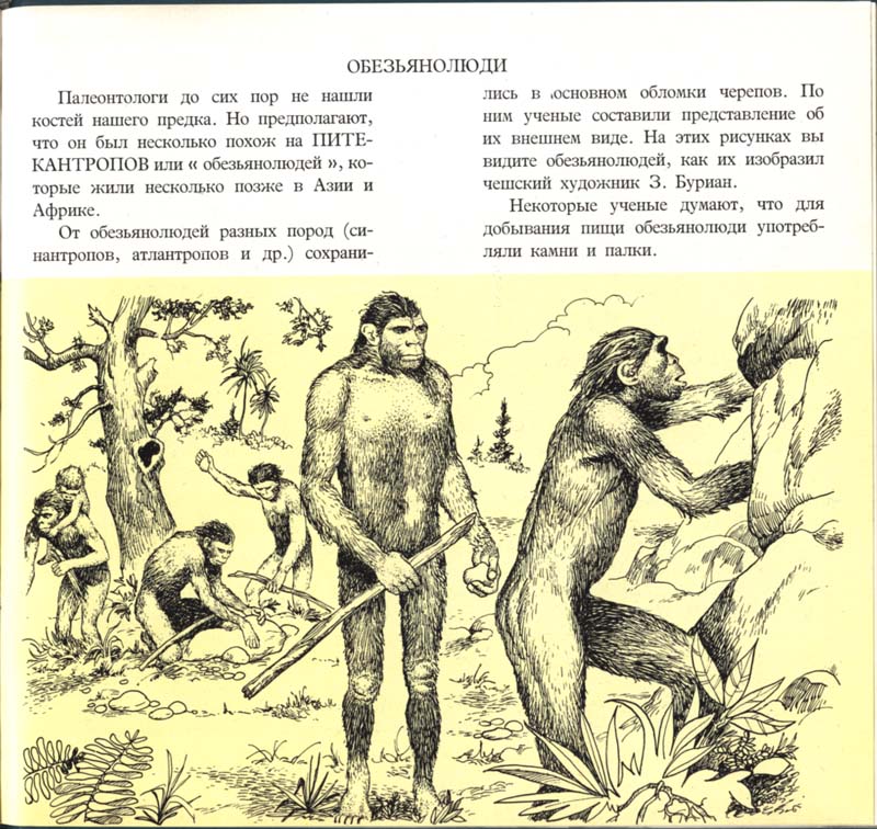 Otkuda 104